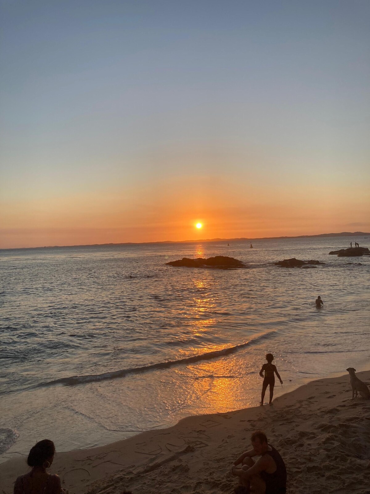 オーナーのプロフィール画像