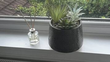 Utsikt fra overnattingsstedet