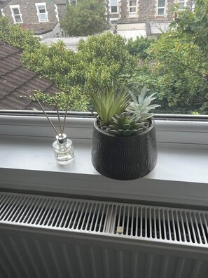 Utsikt fra overnattingsstedet