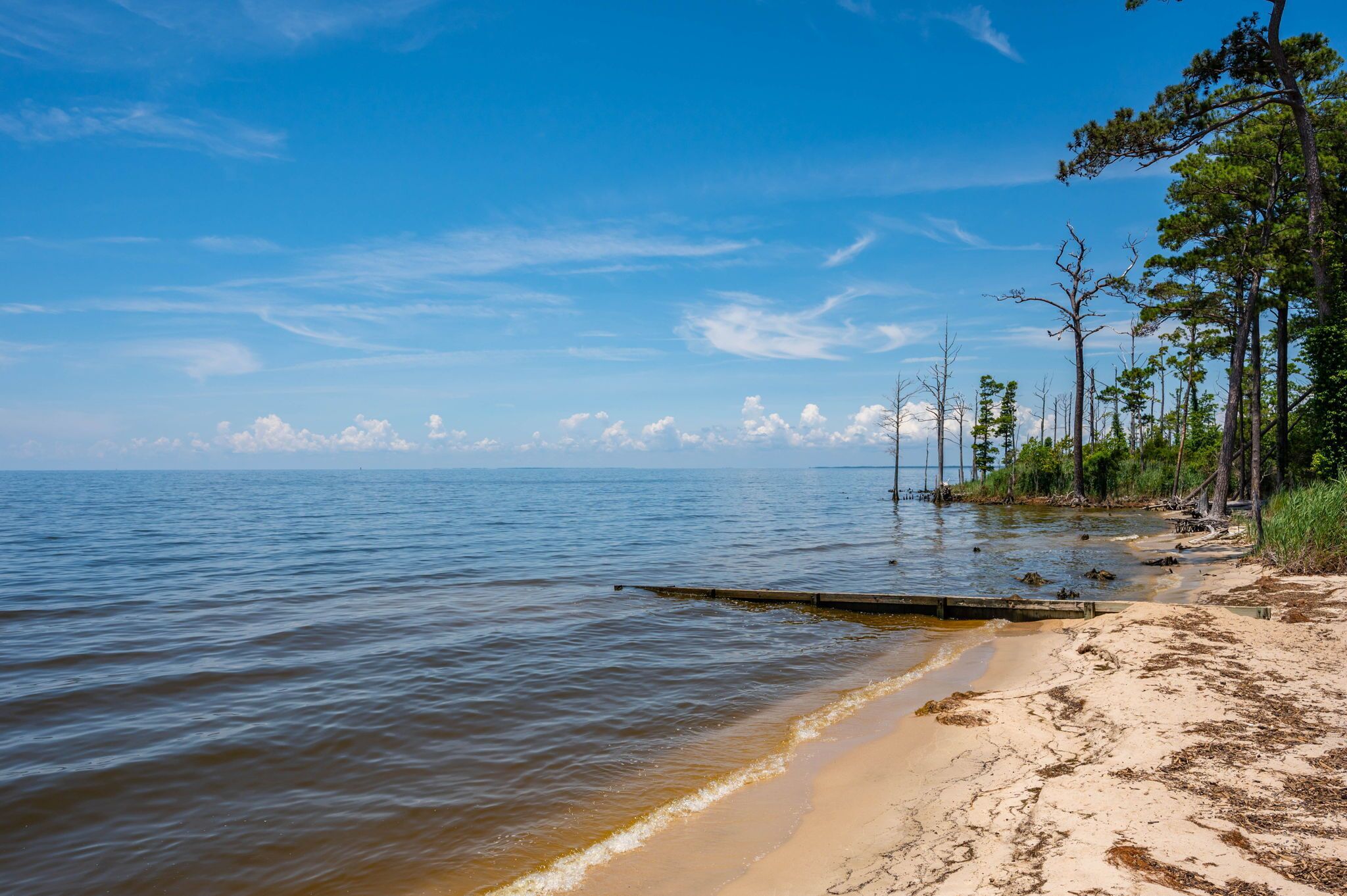 Tovalloles de platja 