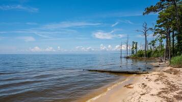 Tovalloles de platja