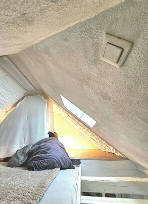 Interior - Sunny half-timbered apartment / Quiet and close to the center! (Berlin)