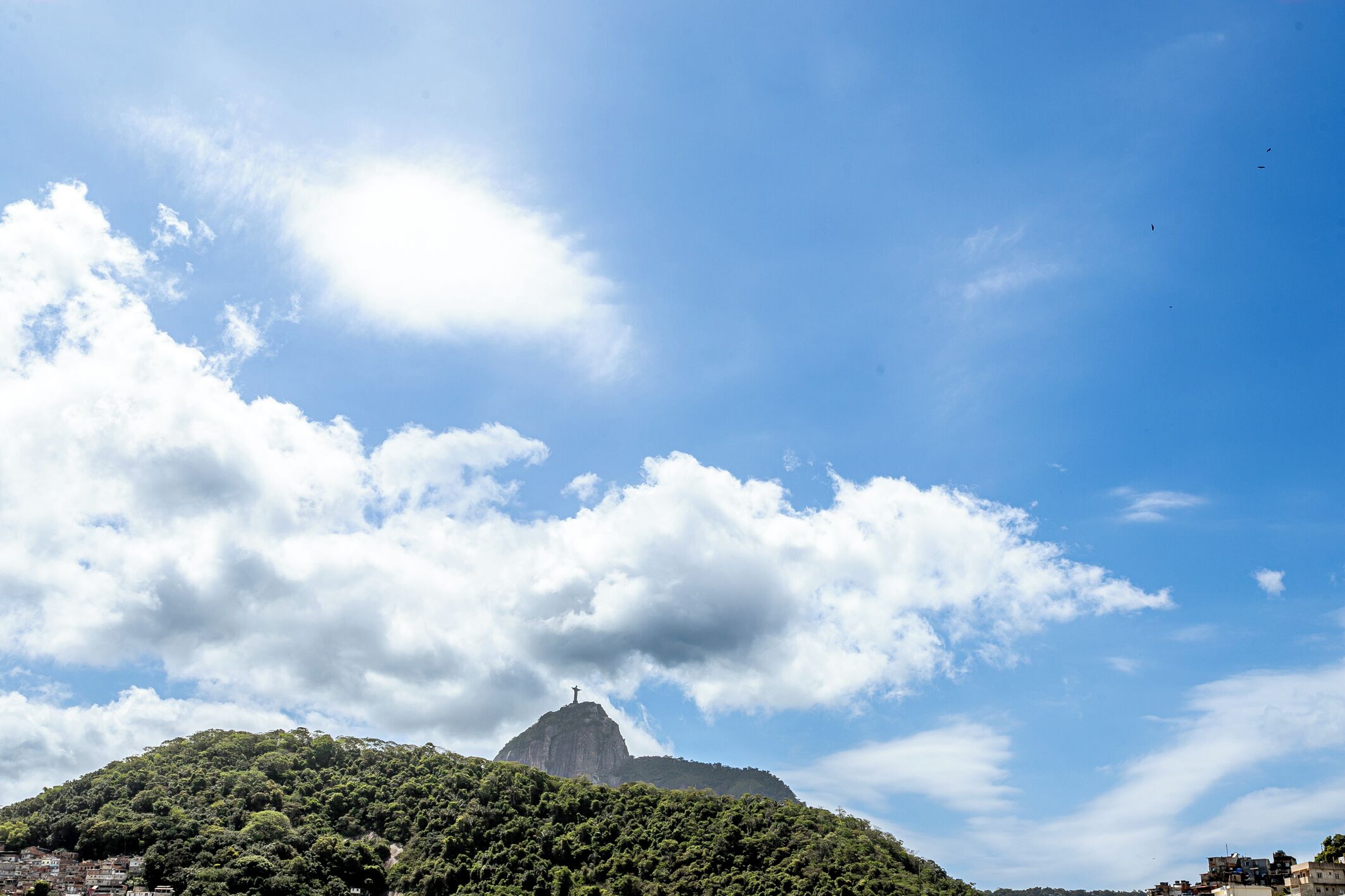 Een berg met een standbeeld op de top, omgeven door groen en een heldere lucht.