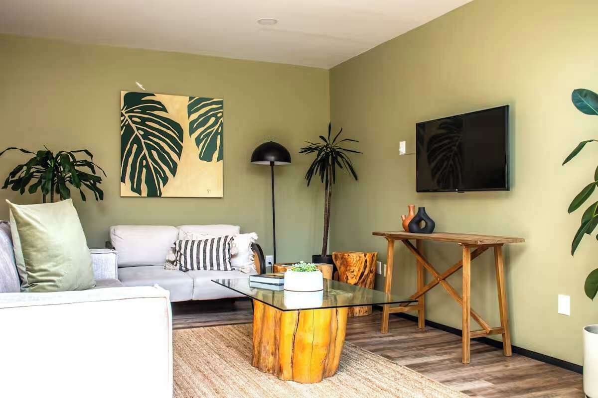 Fernseher, Arbeitsbereiche