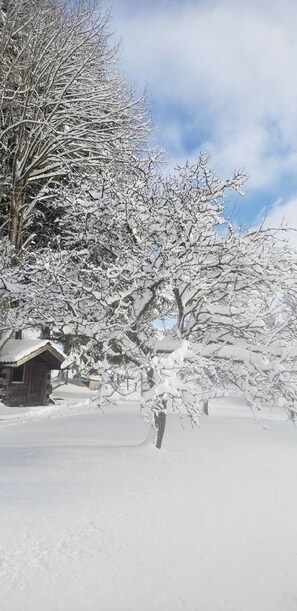 Àrea exterior de l'allotjament
