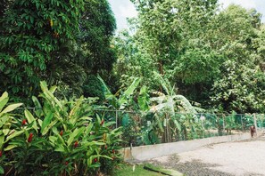 Ein von einer Hecke umgebener Gartenbereich mit üppiger Bepflanzung und einem gepflasterten Weg.