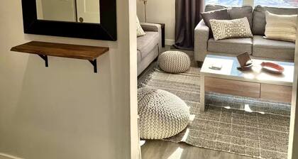 Spacious Apartment in DT Chatham