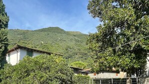 A courtyard with a stone wall, a tree, and a building with a tiled roof. - Luxury hotel apartments in tuscan borgo (Nocchi)