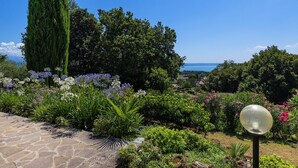 Un jardin avec un chemin en pierre, différentes plantes et un luminaire de forme sphérique.