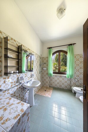 Shower, hair dryer, bidet, towels - Daller Bianca lake view with swimming pool (Soiano del Lago)