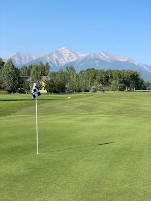 Golf - Off Main Downtown BV Cottage - STR-048 (Buena Vista)