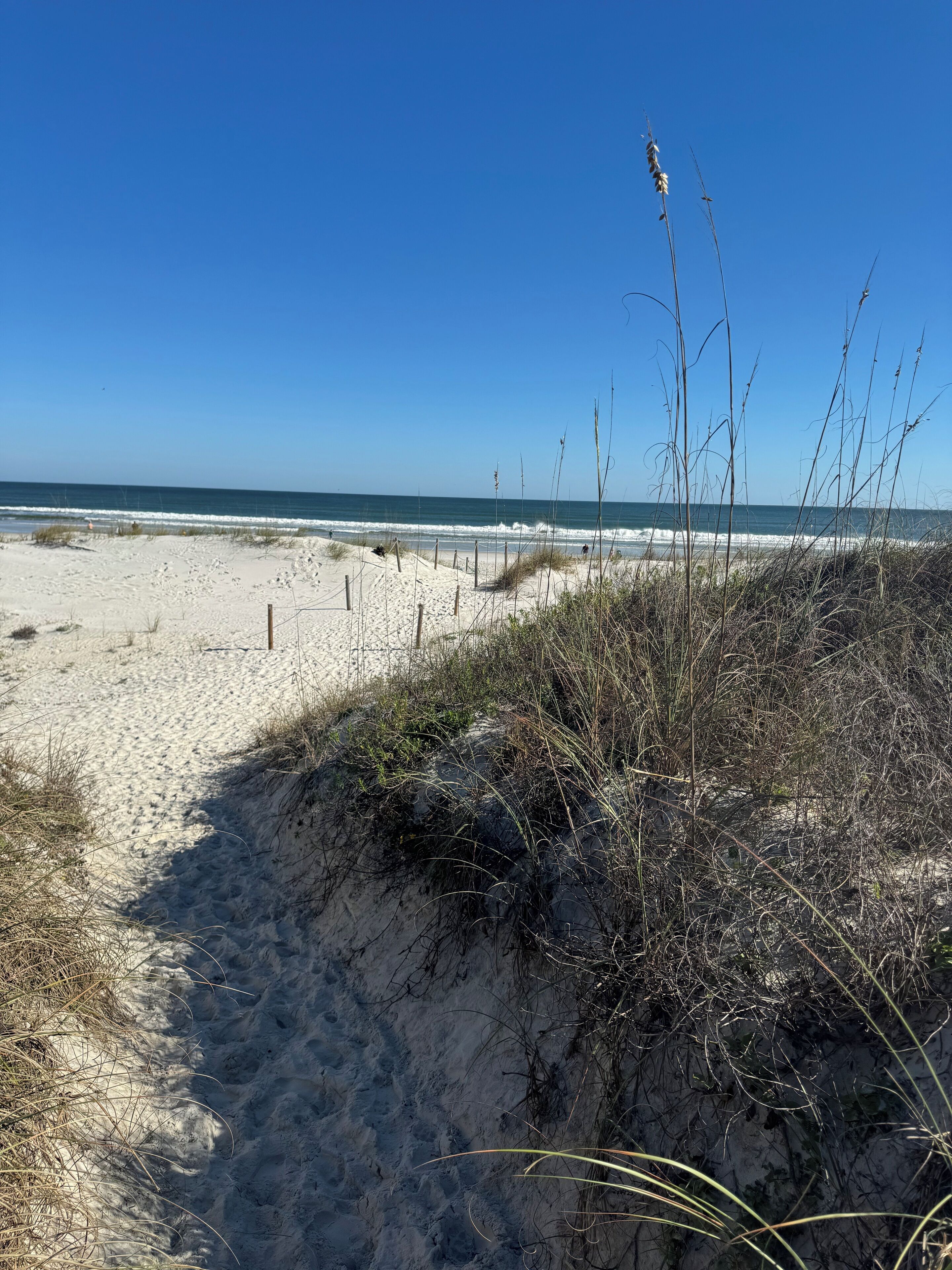 Playa