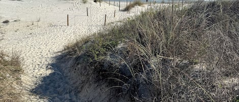 Playa