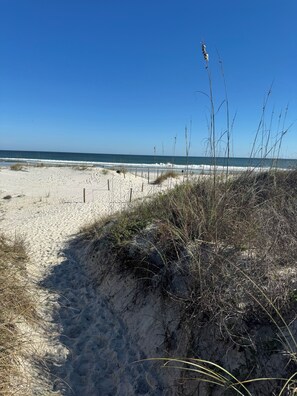 A sandy beach with sparse vegetation and a clear blue sky. - Cozy 2-bedroom condo with Ocean view in pleasant St. Augustine (St. Augustine)
