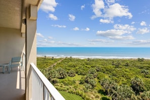 Property grounds - Oceanfront condo,beach access, heated pool, tennis courts (Palm Coast)