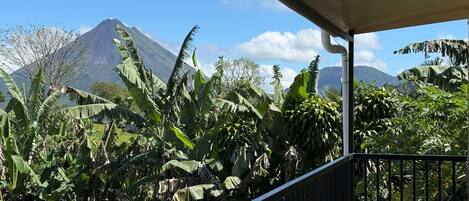 A balcony with a view of a mountain and lush vegetation.