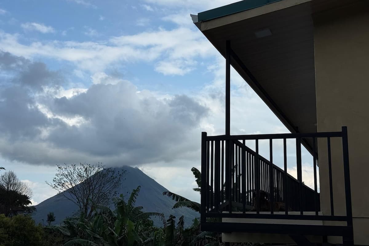 舒適公寓 | 露台/庭院