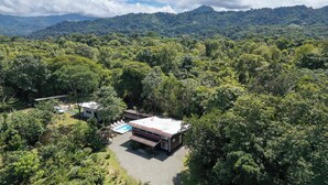 Una casa grande rodeada de un bosque frondoso, con piscina y un patio.