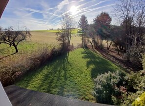 Unclassified image, 4 of 31, button