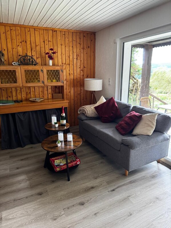 TV, fireplace, books