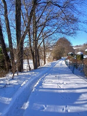 Unclassified image, 5 of 38, button