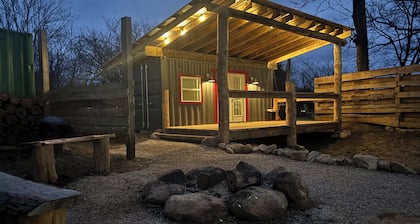 This unique tiny home has its own private pickleball court!
