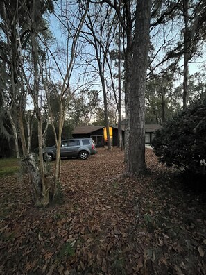 Property grounds - Central Studio Surrounded by Forest. Calm & Comfort (Gainesville)