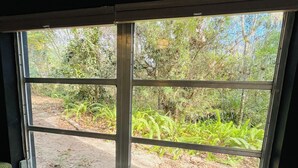 Una ventana con vista a un área boscosa y un sendero de tierra.
