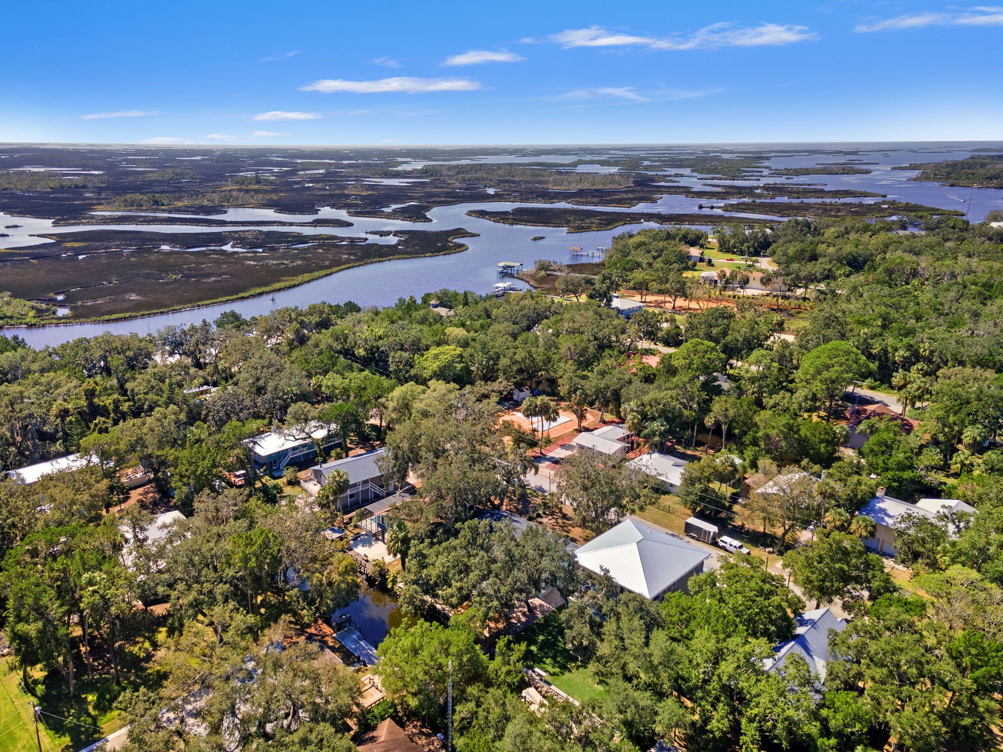 An aerial view of a residential area with houses surrounded by dense greenery and a network of water bodies.
