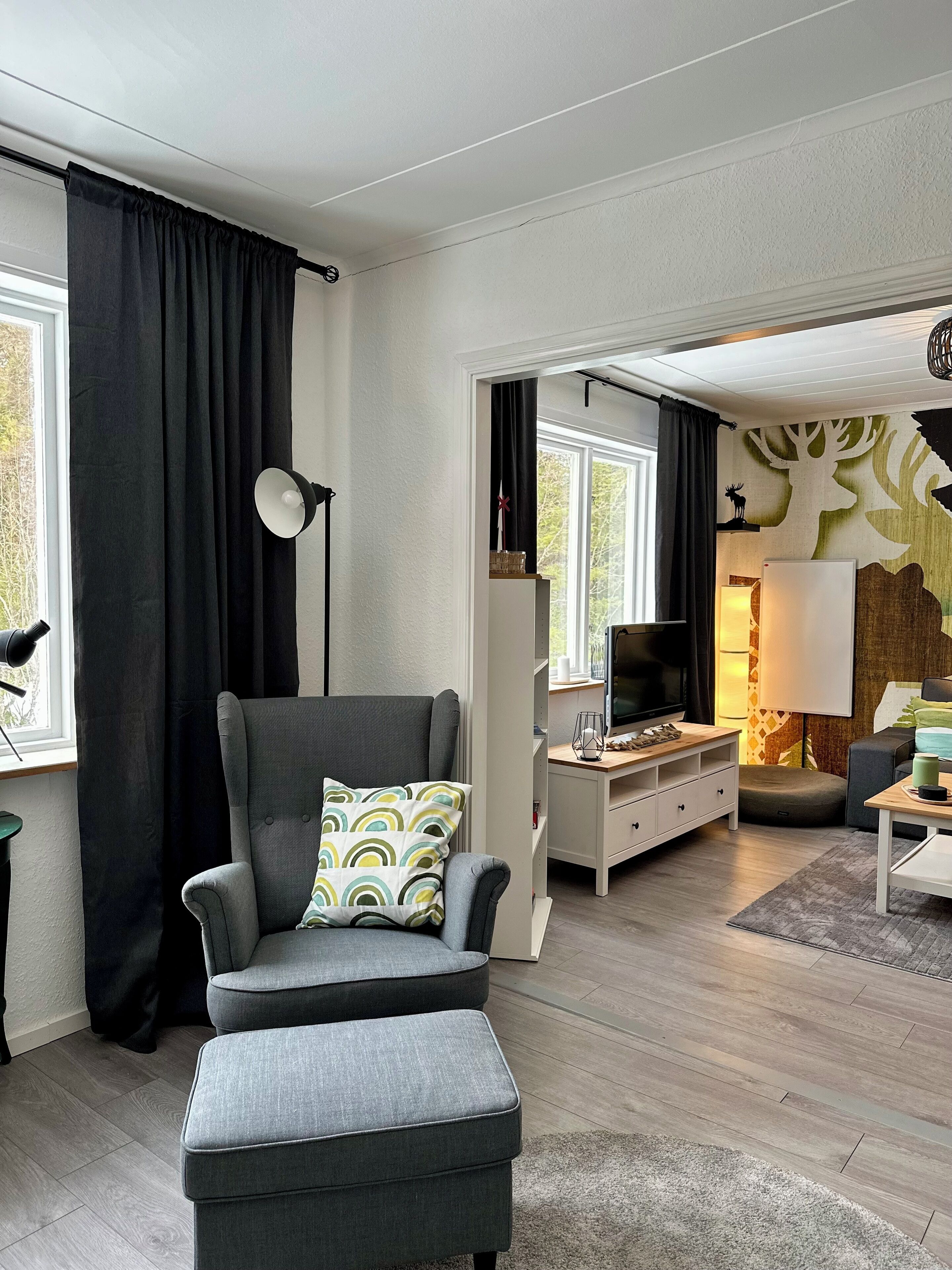 Smart TV, fireplace, books