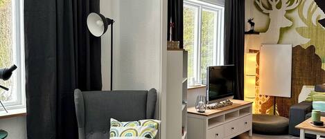 Smart TV, fireplace, books