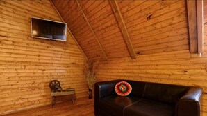 A wooden cabin interior with a leather sofa, a mounted television, and a rustic wooden floor. - Etno house Molendini (Čatrnja)