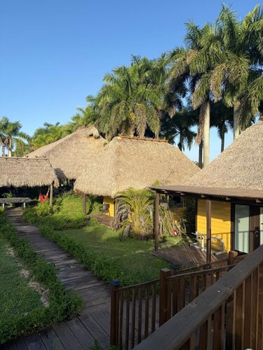 Retiro wellness privado en Miami - Naturaleza, descanso y conexión