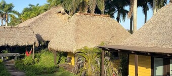 Retiro wellness privado en Miami - Naturaleza, descanso y conexión