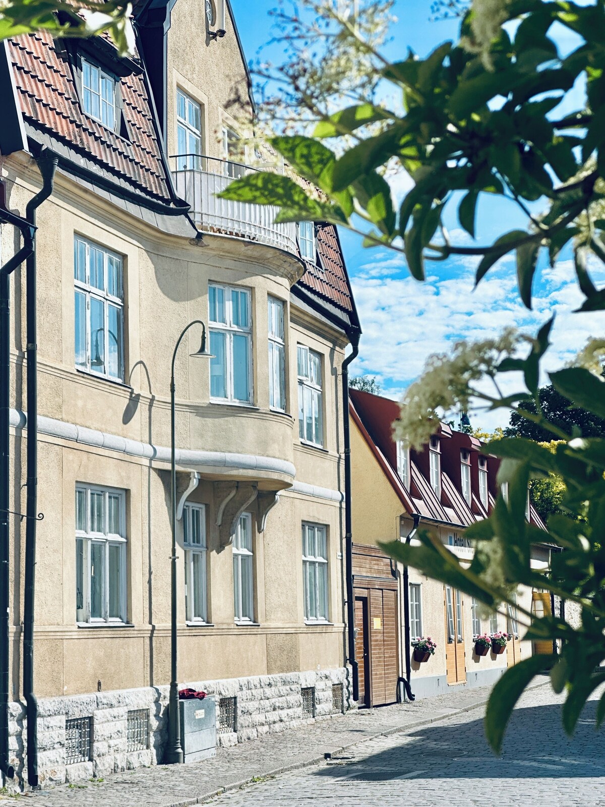 Image de profil de l’hôte