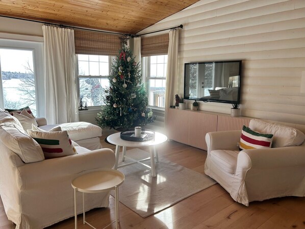 Televisión y chimenea