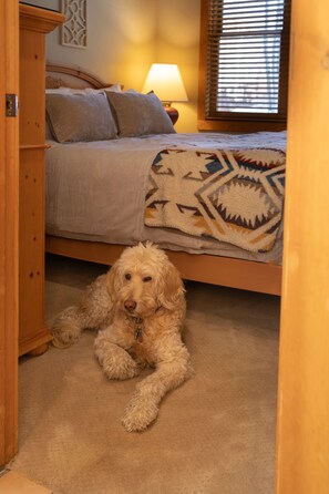 3 bedrooms, desk, travel crib, free WiFi - Keystone Mountain Gem: Dog Friendly Cabin • Ski • Golf • Hike • Hot Tub (Keystone)