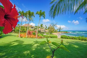 A tropical garden with a red hibiscus flower, palm trees, and a view of the ocean. - Oceanfront Luxury at Lanikai 132 | Central A/C & King Suites (Kapaa)
