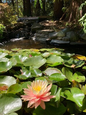 Exterior detail - Peaceful getaway by the ocean in the privacy of trees (Comox Valley A)