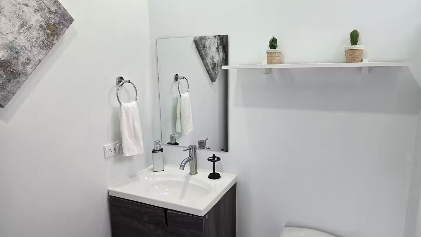 A modern bathroom with a white sink, a mirror, and two potted plants on a shelf.