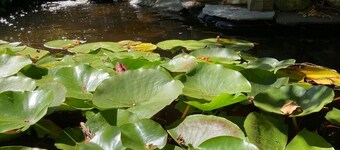 Secondary private 1 bdrm / 1 bath suite in Fanny Bay