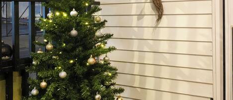 Detalle del exterior