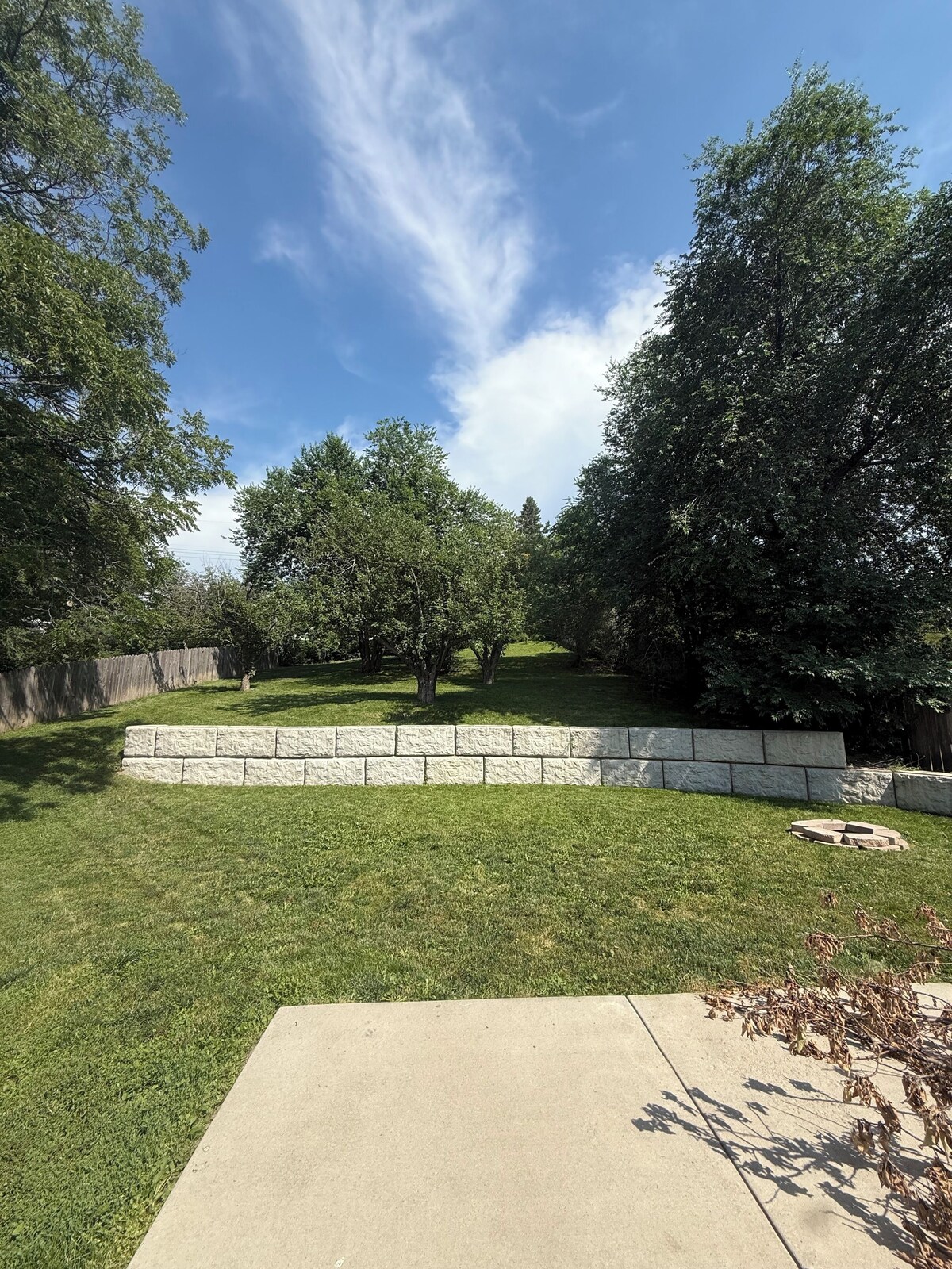 Imagen de perfil del propietario o de la propietaria