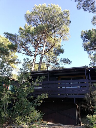 Chalet in the pines between lake and ocean