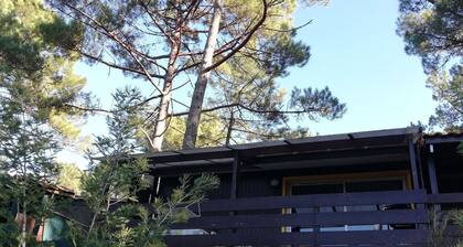 Chalet in the pines between lake and ocean