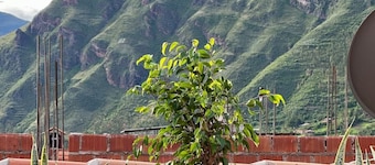 Central Pisac 2BR Flat w/ view, rooftop & home gym