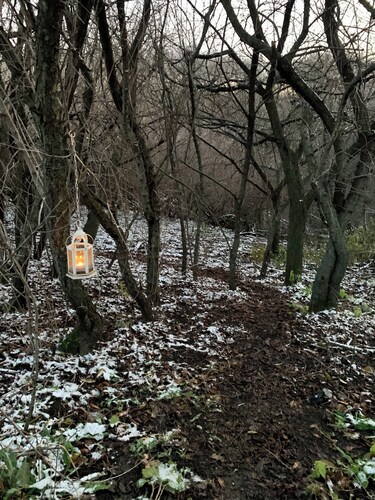 Serene Farm Stay Guest Suite