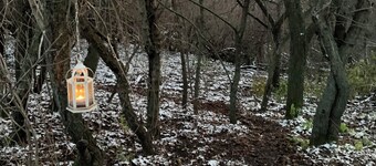 Serene Farm Stay Guest Suite