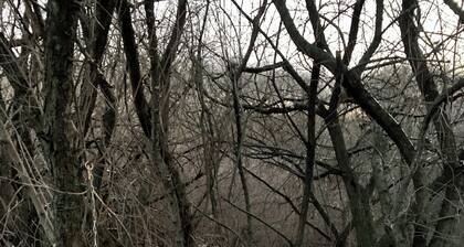 Serene Farm Stay Guest Suite