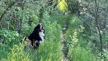 Enceinte de lâhĂ©bergement